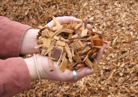 ecosmart fuels wood pellet